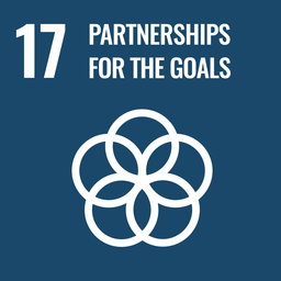 12 Partnerships for the goals